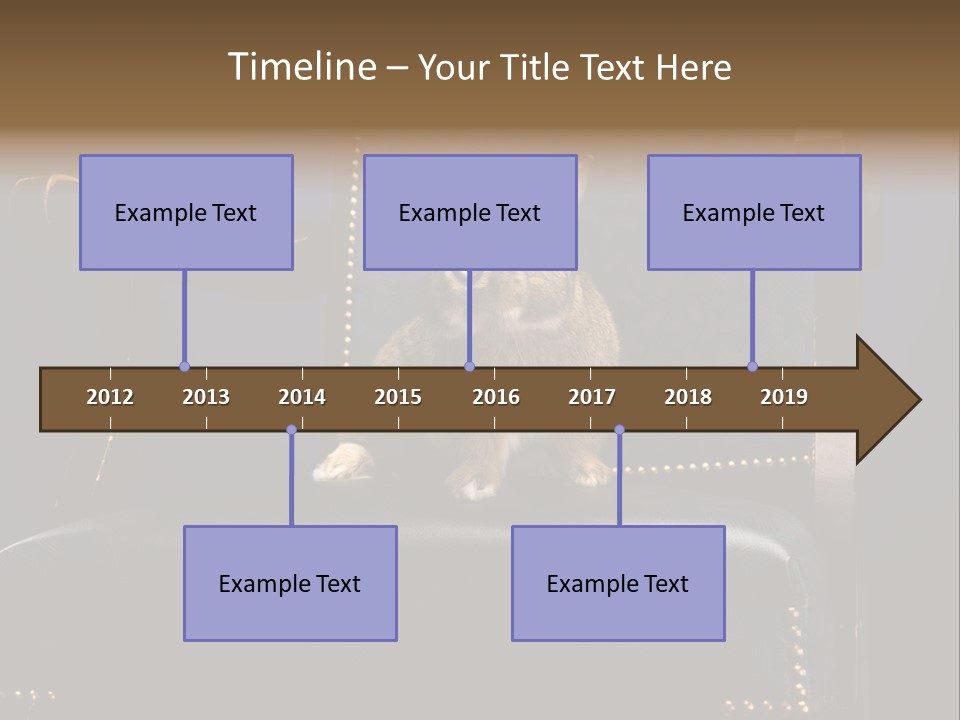 Wildlife Indoors Rabbit PowerPoint Template