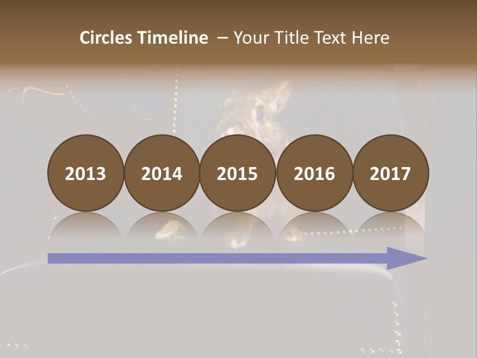 Wildlife Indoors Rabbit PowerPoint Template