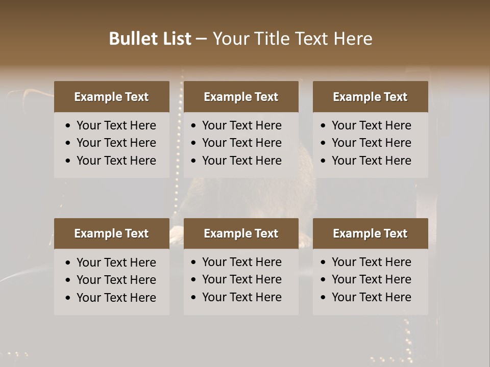 Wildlife Indoors Rabbit PowerPoint Template