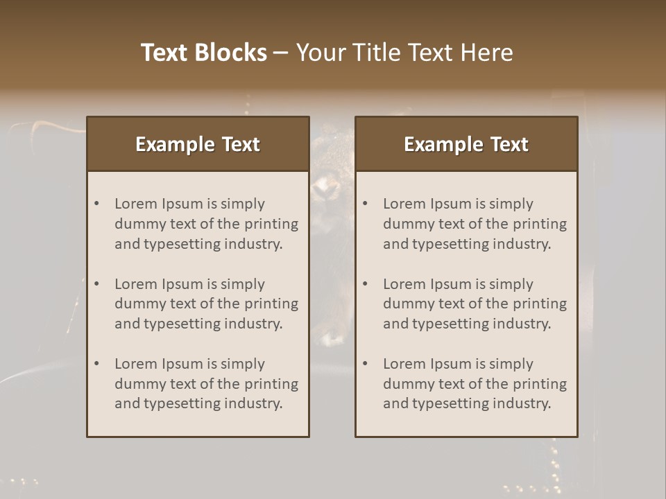 Wildlife Indoors Rabbit PowerPoint Template
