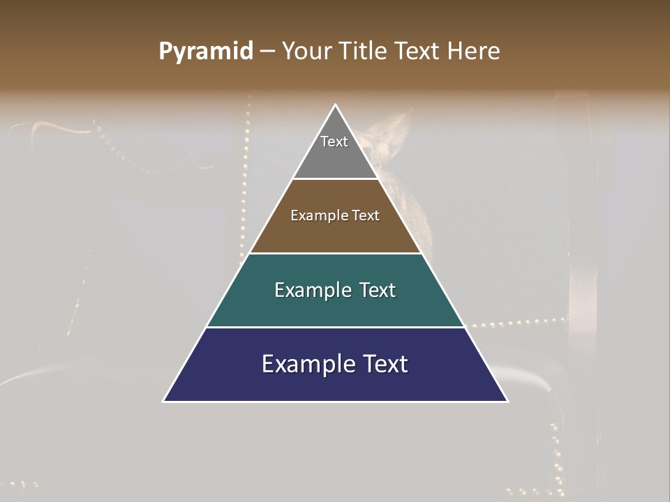 Wildlife Indoors Rabbit PowerPoint Template