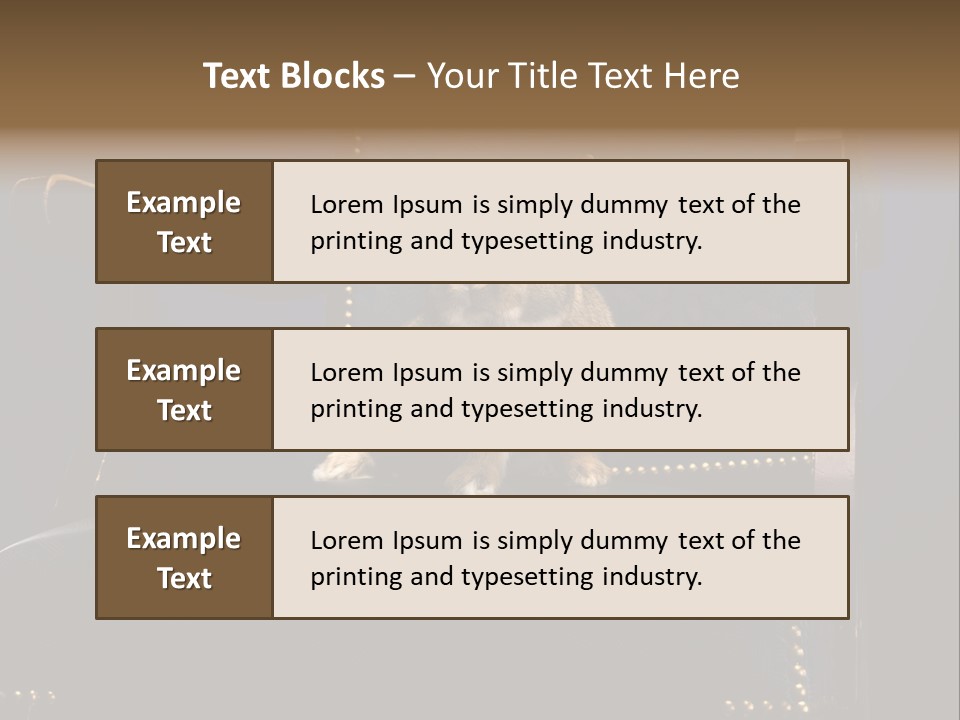 Wildlife Indoors Rabbit PowerPoint Template
