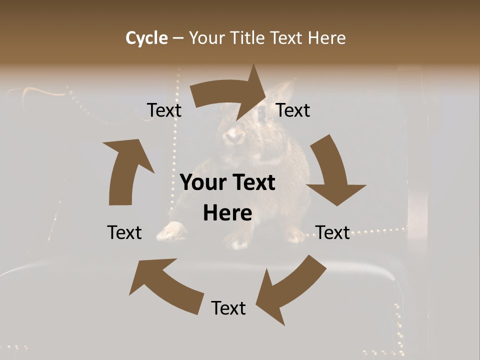 Wildlife Indoors Rabbit PowerPoint Template