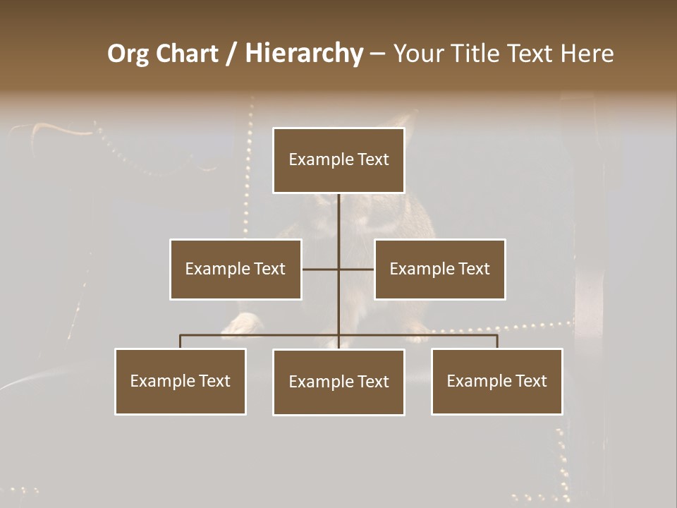 Wildlife Indoors Rabbit PowerPoint Template