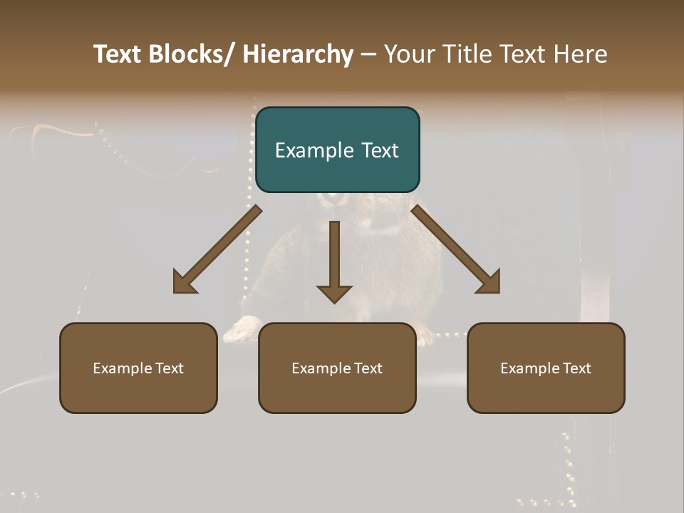 Wildlife Indoors Rabbit PowerPoint Template