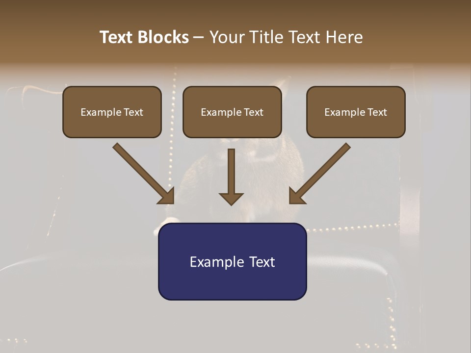 Wildlife Indoors Rabbit PowerPoint Template