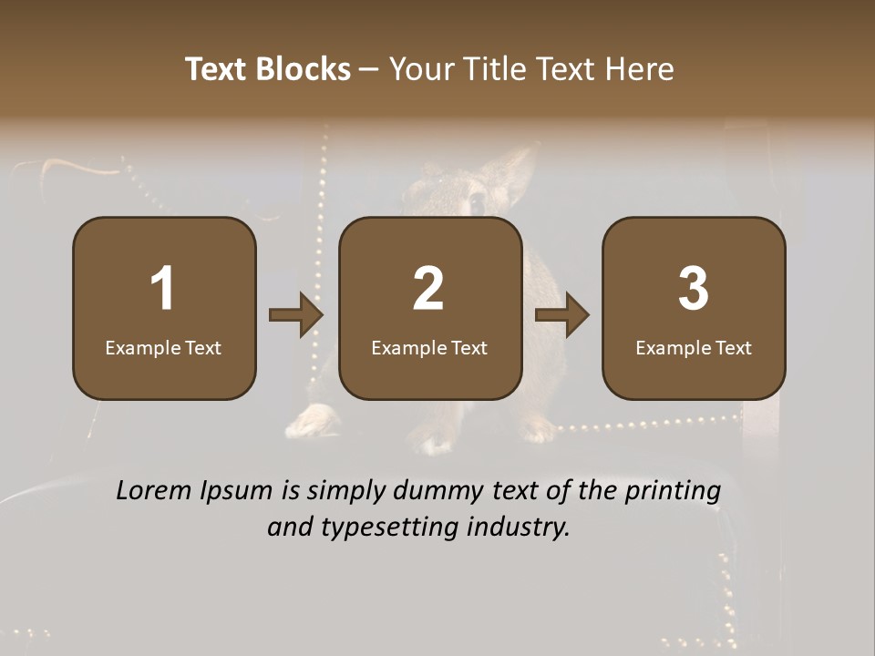Wildlife Indoors Rabbit PowerPoint Template