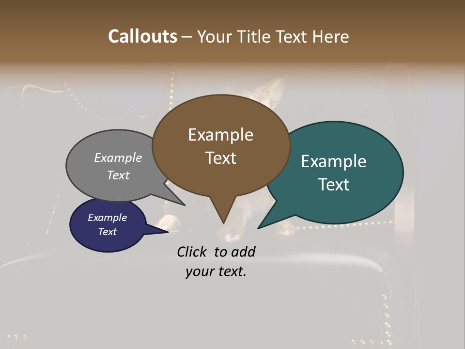 Wildlife Indoors Rabbit PowerPoint Template