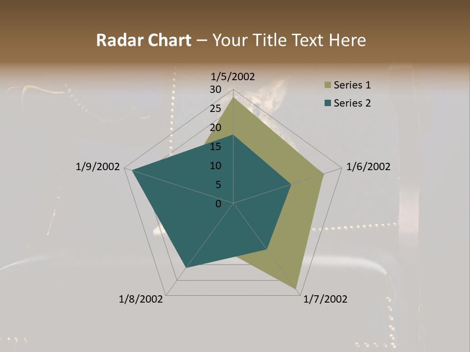 Wildlife Indoors Rabbit PowerPoint Template