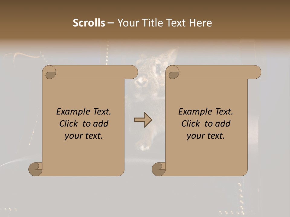 Wildlife Indoors Rabbit PowerPoint Template