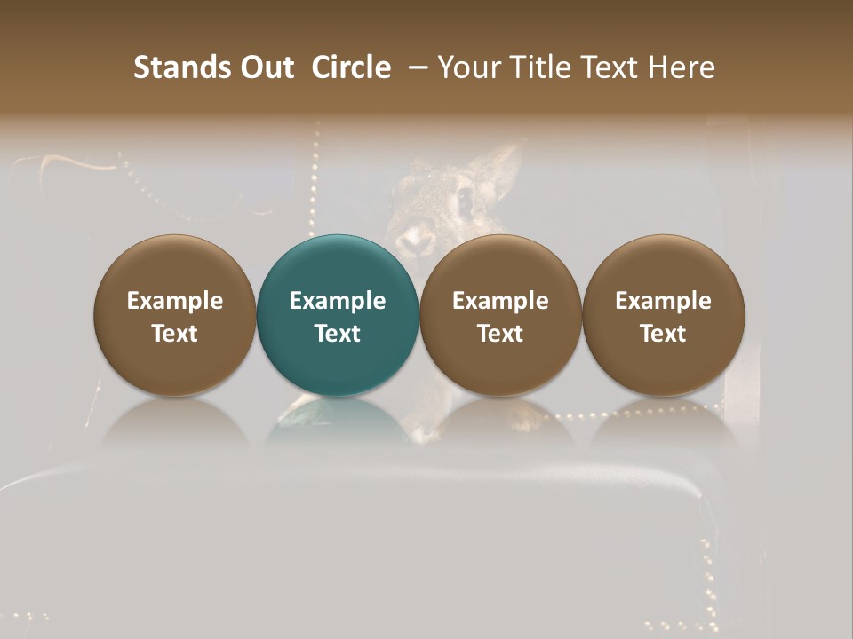 Wildlife Indoors Rabbit PowerPoint Template