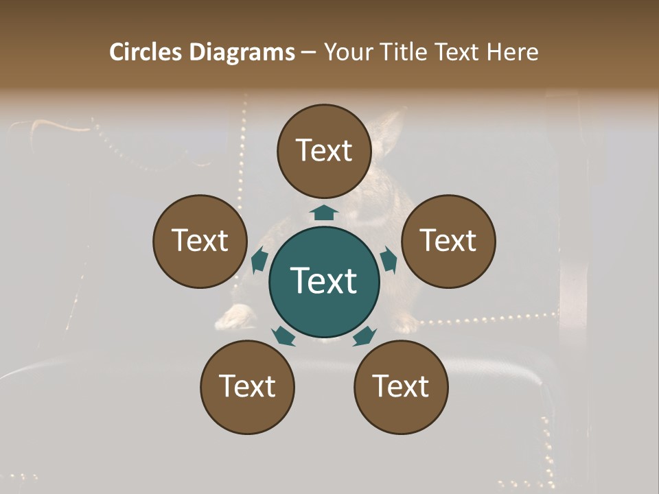 Wildlife Indoors Rabbit PowerPoint Template