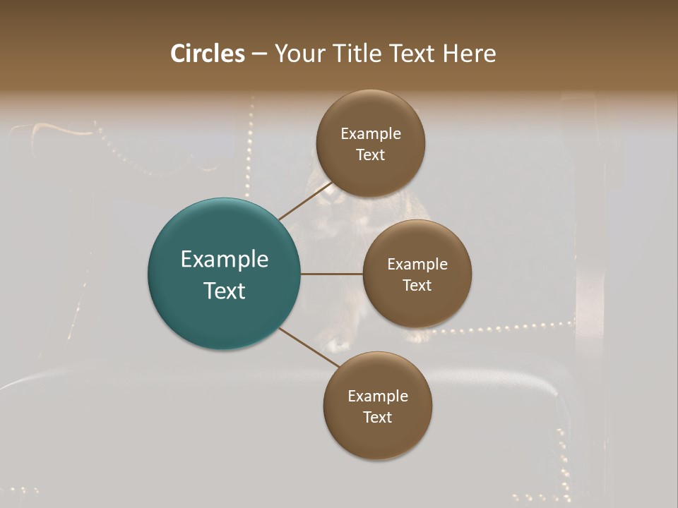 Wildlife Indoors Rabbit PowerPoint Template