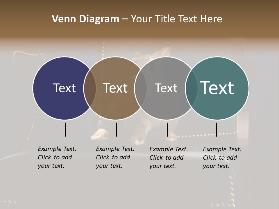Wildlife Indoors Rabbit PowerPoint Template