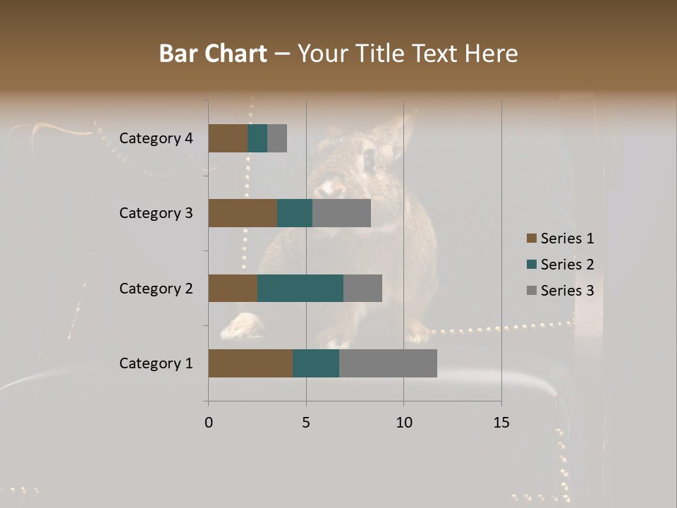 Wildlife Indoors Rabbit PowerPoint Template
