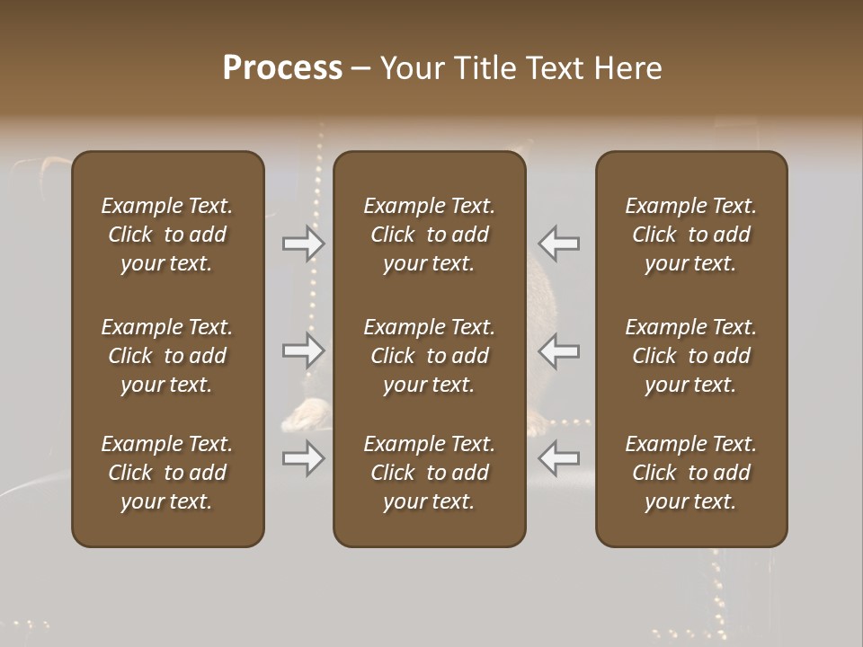 Wildlife Indoors Rabbit PowerPoint Template
