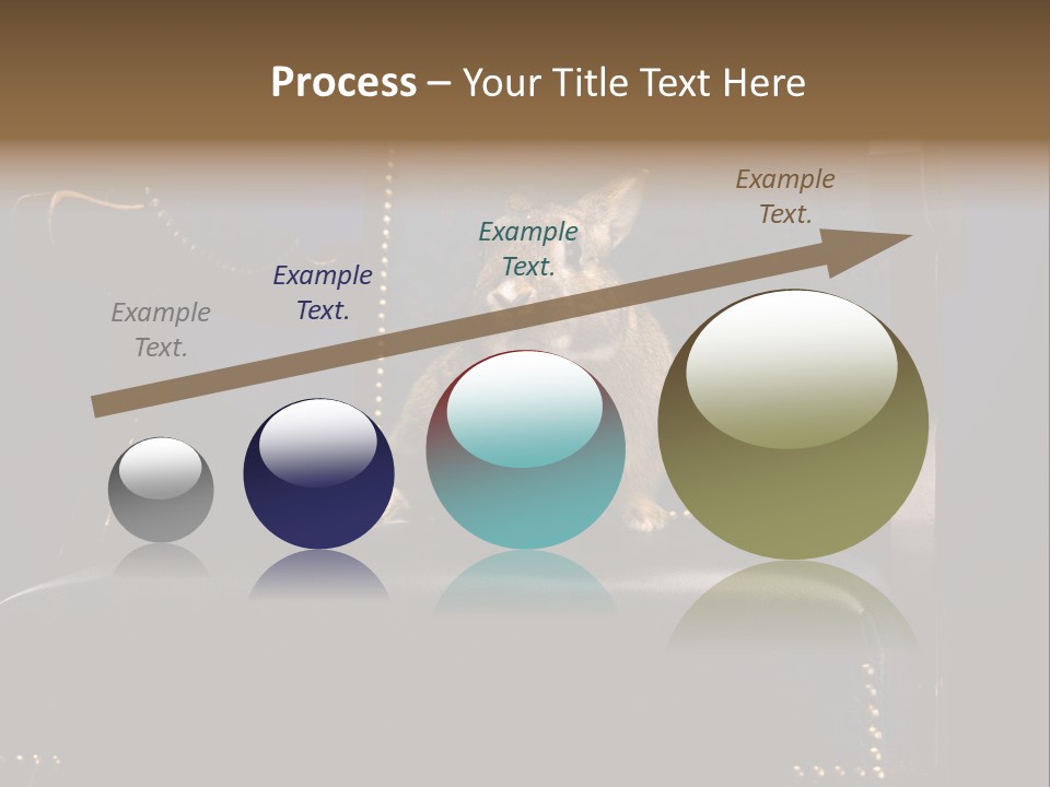 Wildlife Indoors Rabbit PowerPoint Template