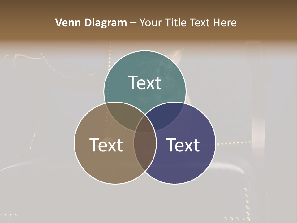 Wildlife Indoors Rabbit PowerPoint Template