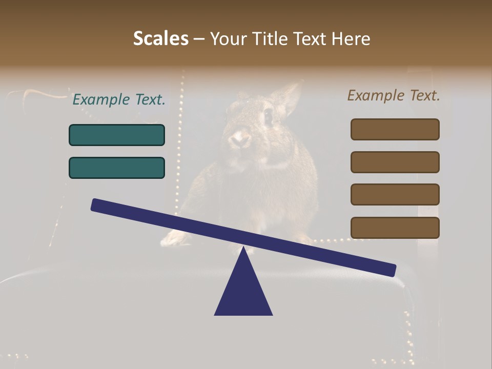 Wildlife Indoors Rabbit PowerPoint Template