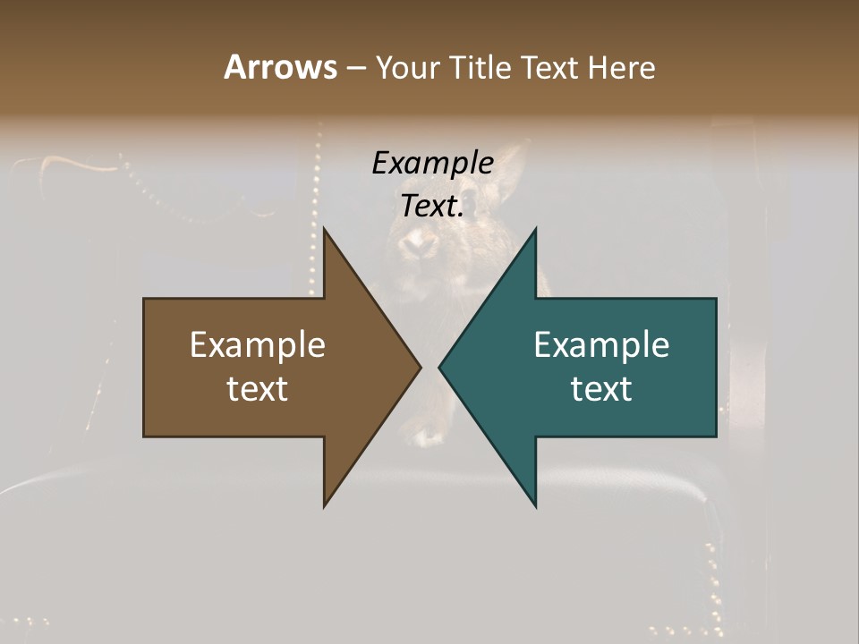 Wildlife Indoors Rabbit PowerPoint Template