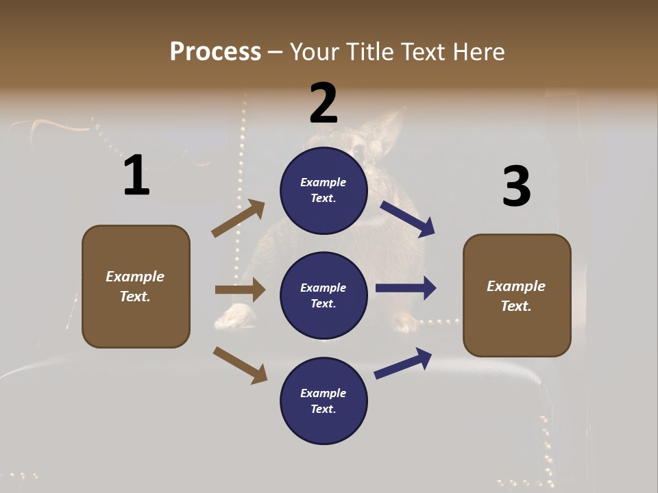 Wildlife Indoors Rabbit PowerPoint Template