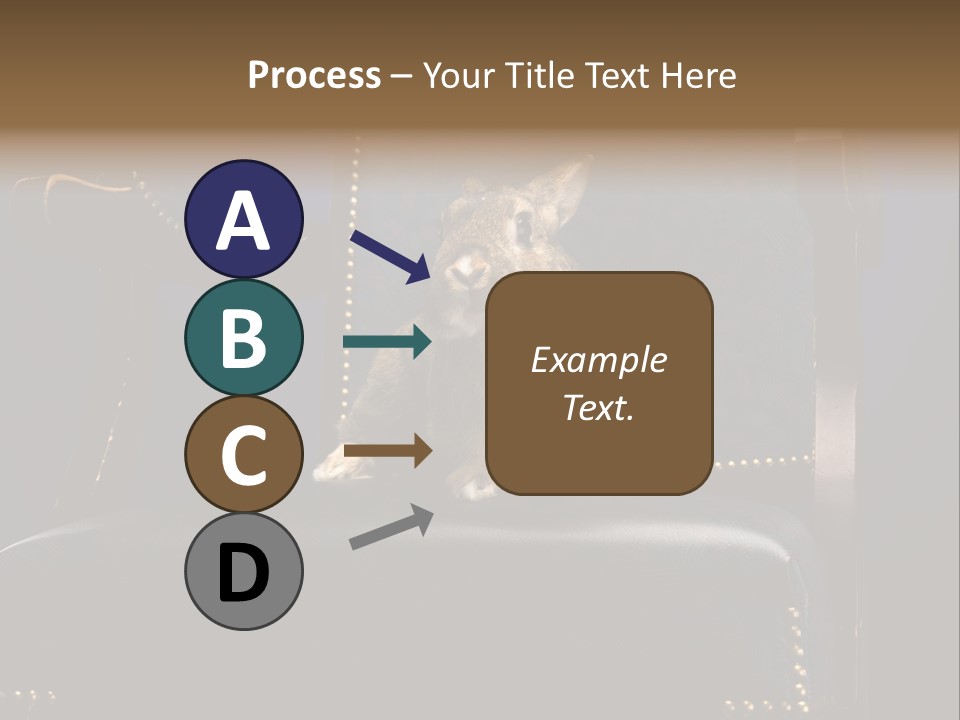 Wildlife Indoors Rabbit PowerPoint Template