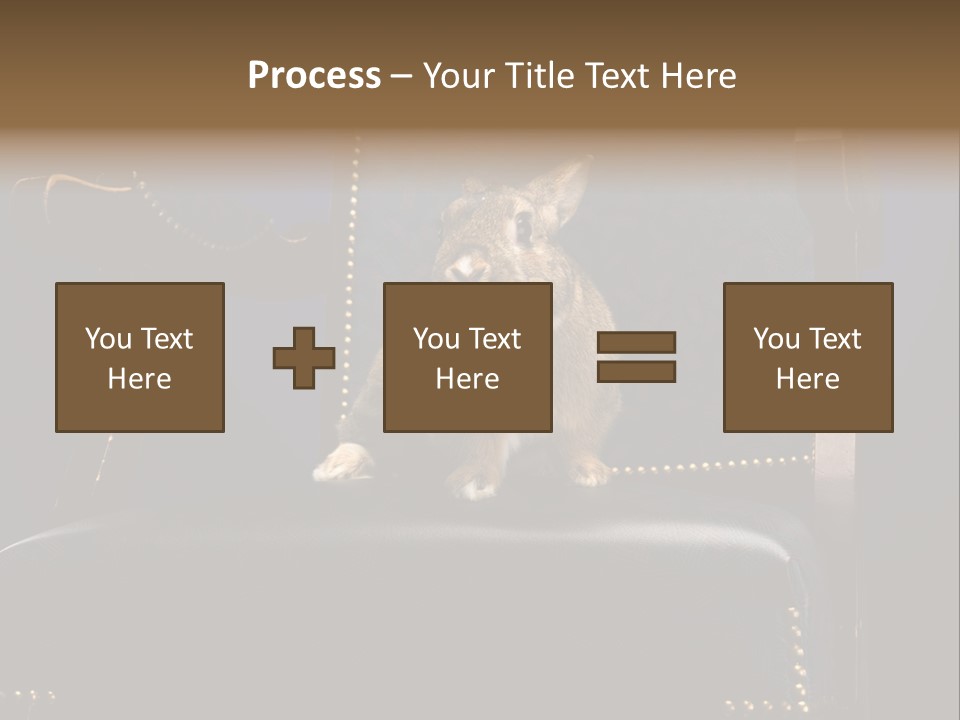 Wildlife Indoors Rabbit PowerPoint Template