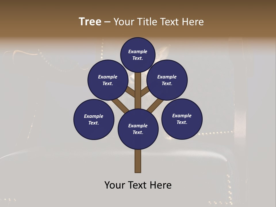 Wildlife Indoors Rabbit PowerPoint Template