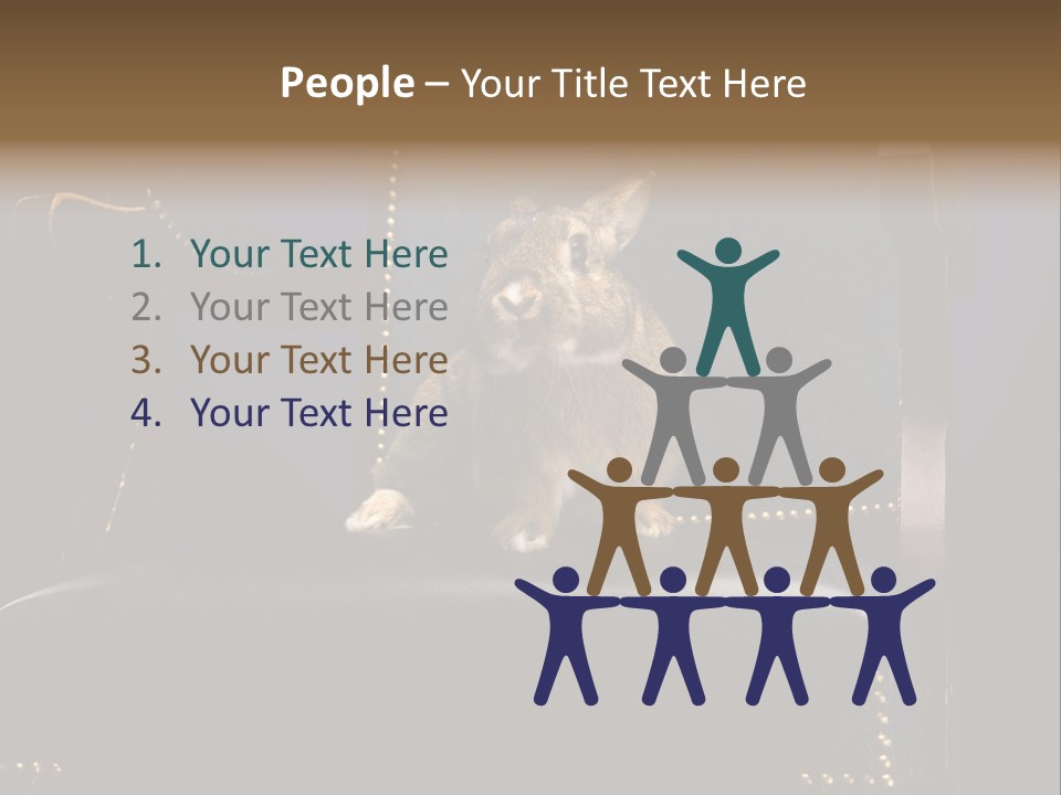 Wildlife Indoors Rabbit PowerPoint Template