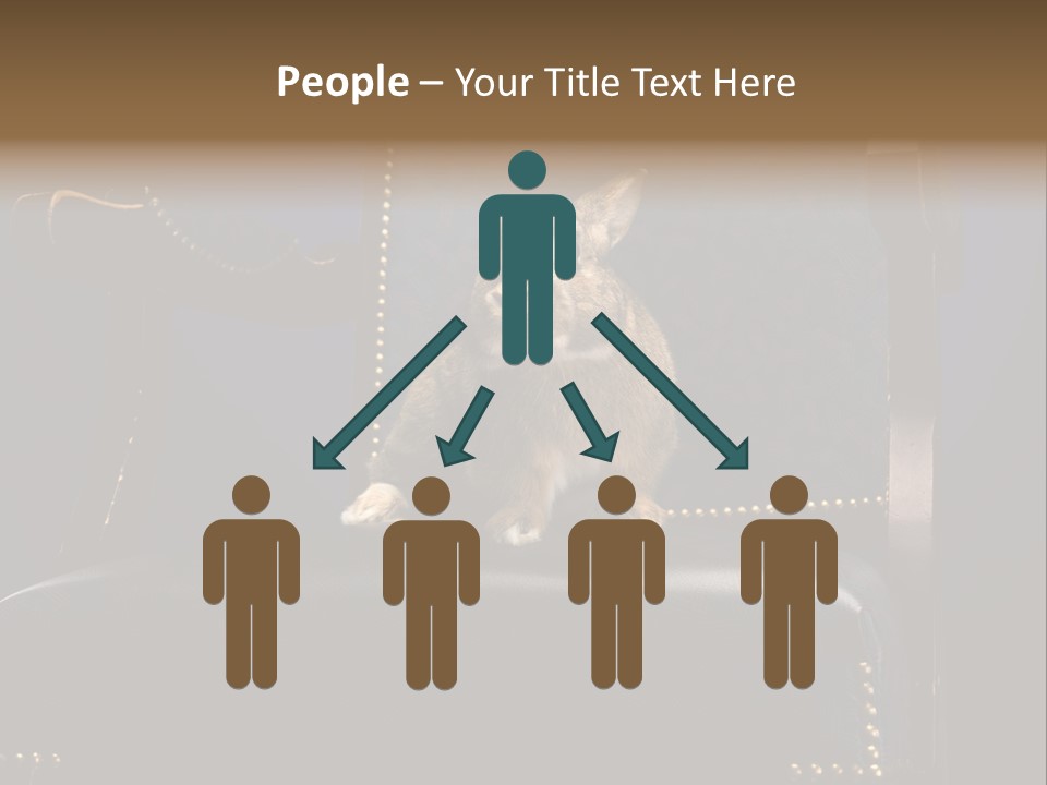 Wildlife Indoors Rabbit PowerPoint Template