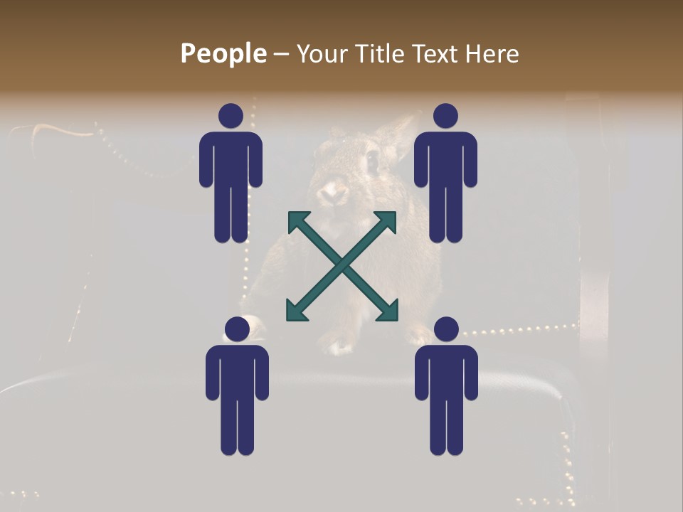 Wildlife Indoors Rabbit PowerPoint Template