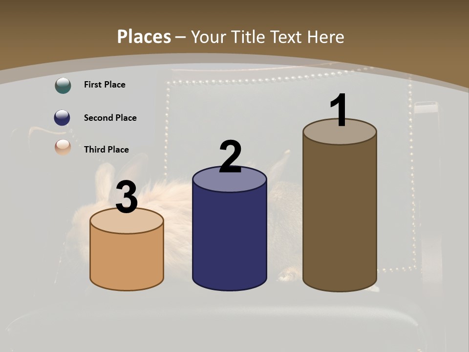 Indoors Tame Beautiful PowerPoint Template