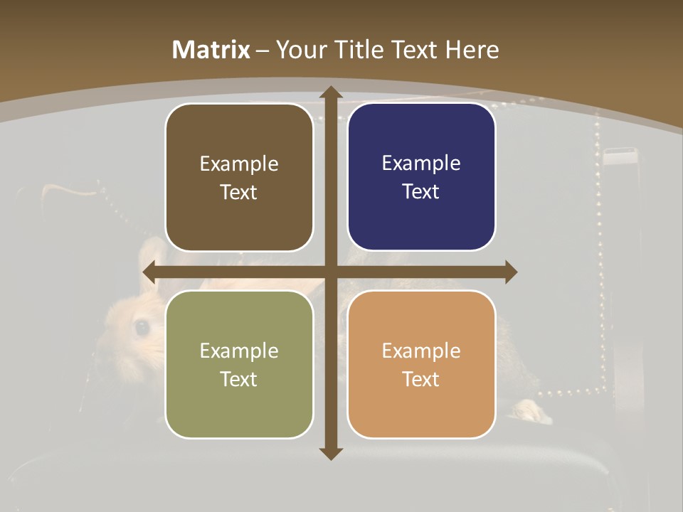 Indoors Tame Beautiful PowerPoint Template