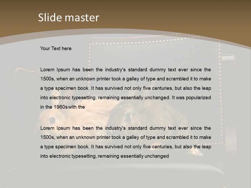 Indoors Tame Beautiful PowerPoint Template