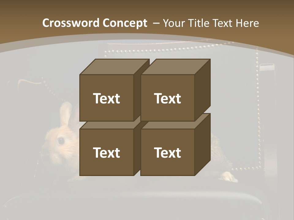 Indoors Tame Beautiful PowerPoint Template