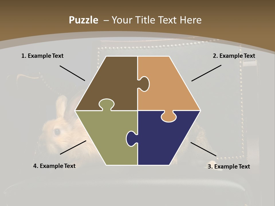 Indoors Tame Beautiful PowerPoint Template