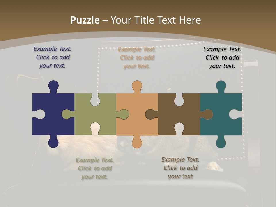 Indoors Tame Beautiful PowerPoint Template