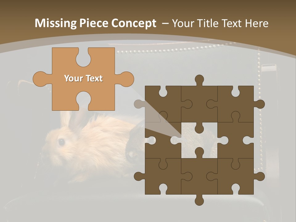 Indoors Tame Beautiful PowerPoint Template