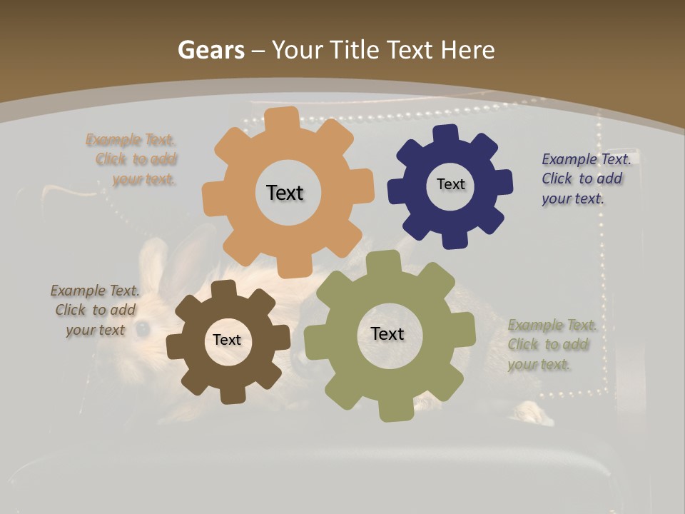 Indoors Tame Beautiful PowerPoint Template