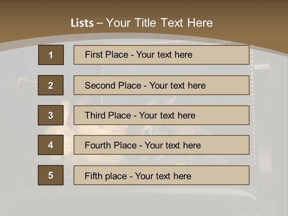 Indoors Tame Beautiful PowerPoint Template