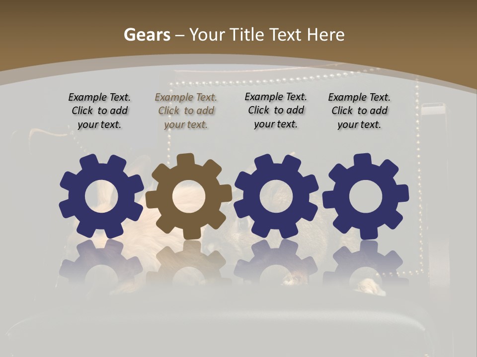 Indoors Tame Beautiful PowerPoint Template