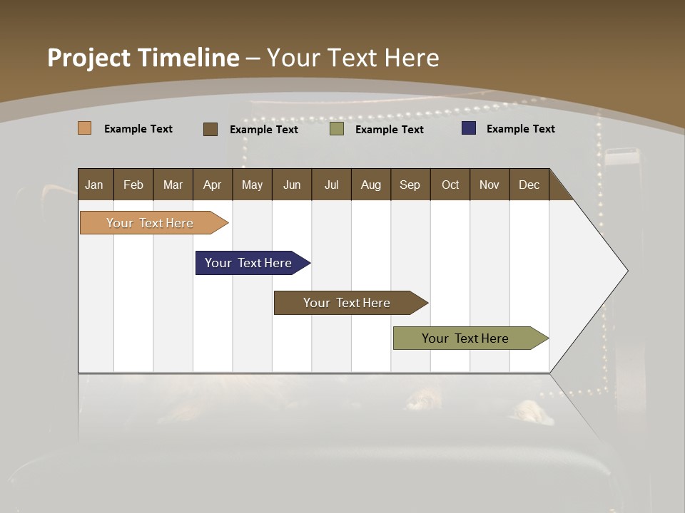 Indoors Tame Beautiful PowerPoint Template