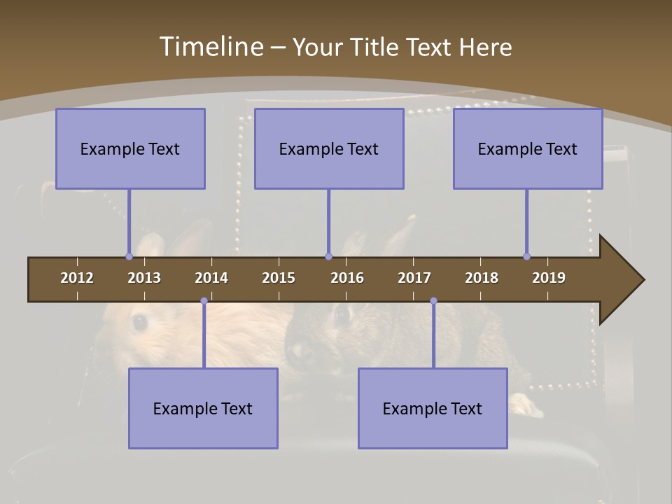 Indoors Tame Beautiful PowerPoint Template