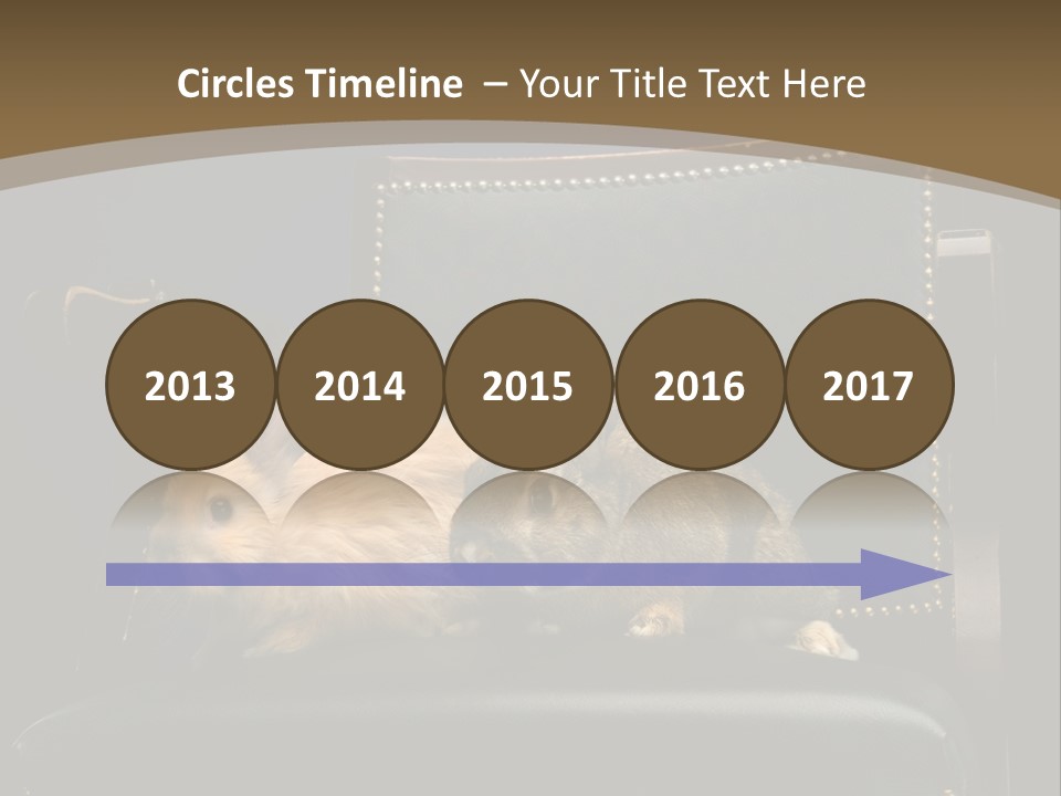 Indoors Tame Beautiful PowerPoint Template