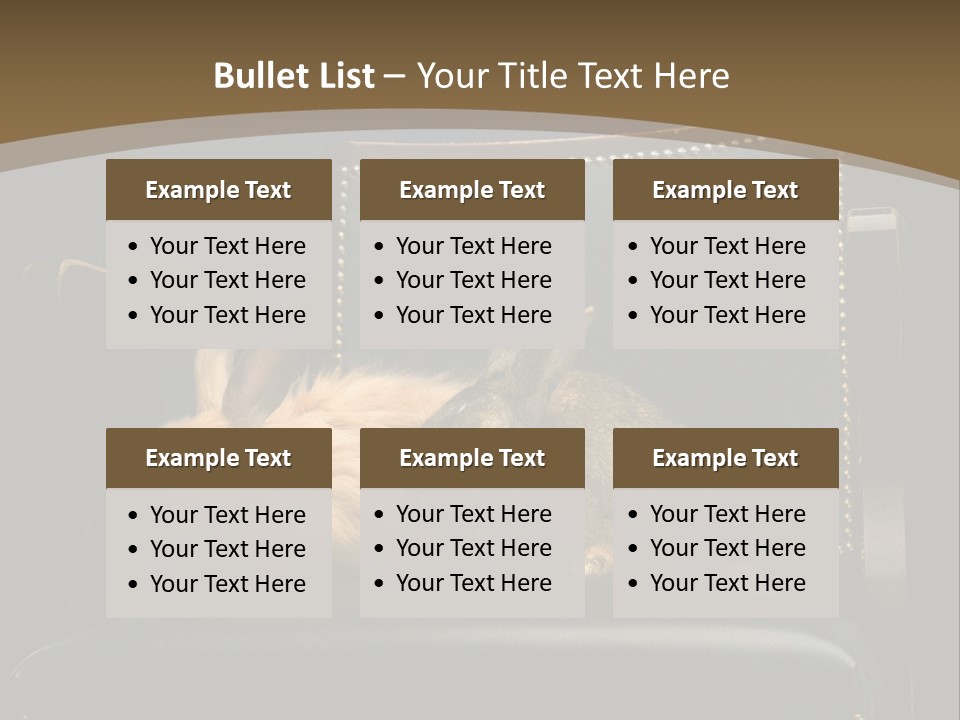 Indoors Tame Beautiful PowerPoint Template