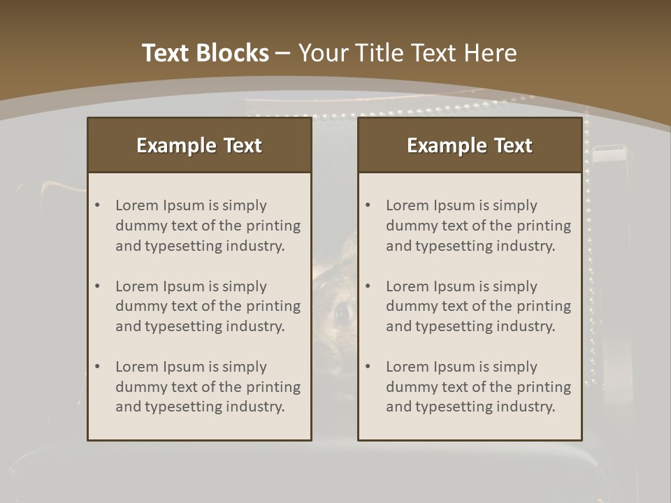 Indoors Tame Beautiful PowerPoint Template