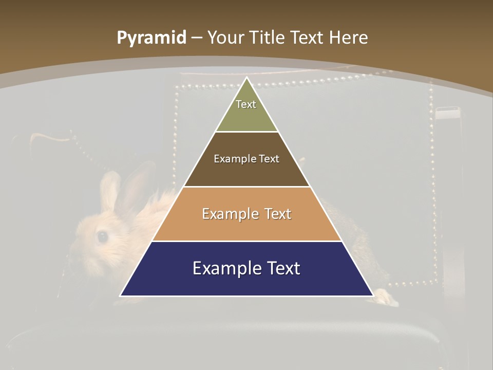 Indoors Tame Beautiful PowerPoint Template