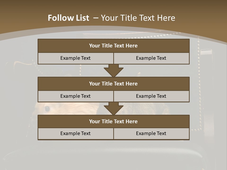 Indoors Tame Beautiful PowerPoint Template