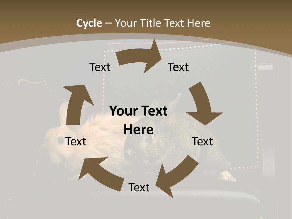 Indoors Tame Beautiful PowerPoint Template