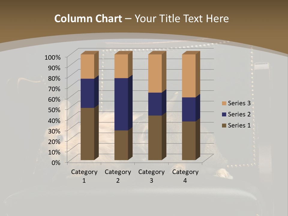 Indoors Tame Beautiful PowerPoint Template